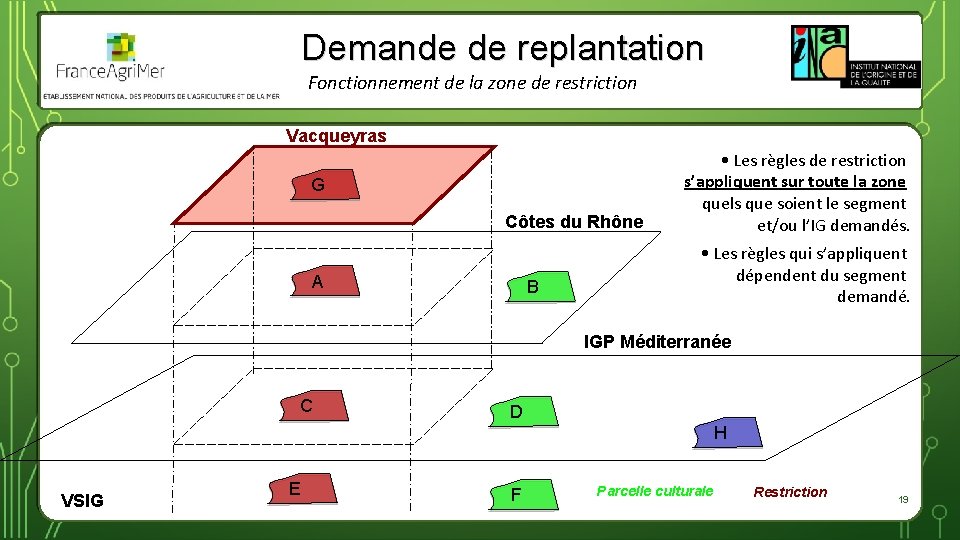 Demande de replantation Fonctionnement de la zone de restriction Vacqueyras G Côtes du Rhône