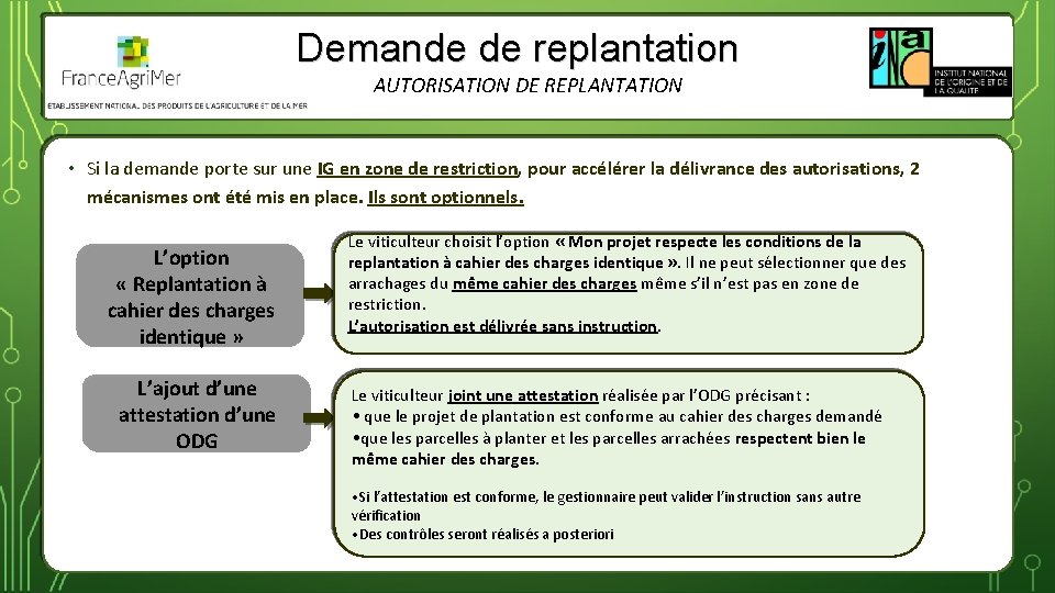Demande de replantation AUTORISATION DE REPLANTATION • Si la demande porte sur une IG