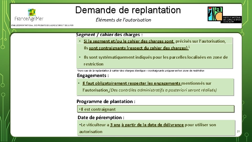 Demande de replantation Éléments de l’autorisation Segment / cahier des charges : • Si