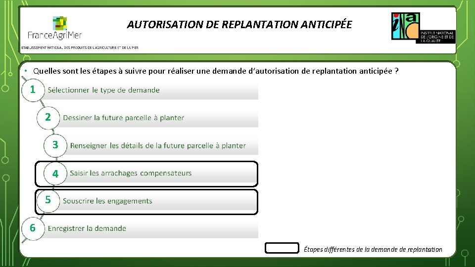 AUTORISATION DE REPLANTATION ANTICIPÉE • Quelles sont les étapes à suivre pour réaliser une