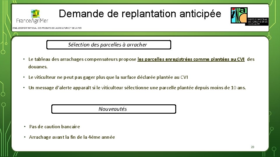 Demande de replantation anticipée Sélection des parcelles à arracher • Le tableau des arrachages