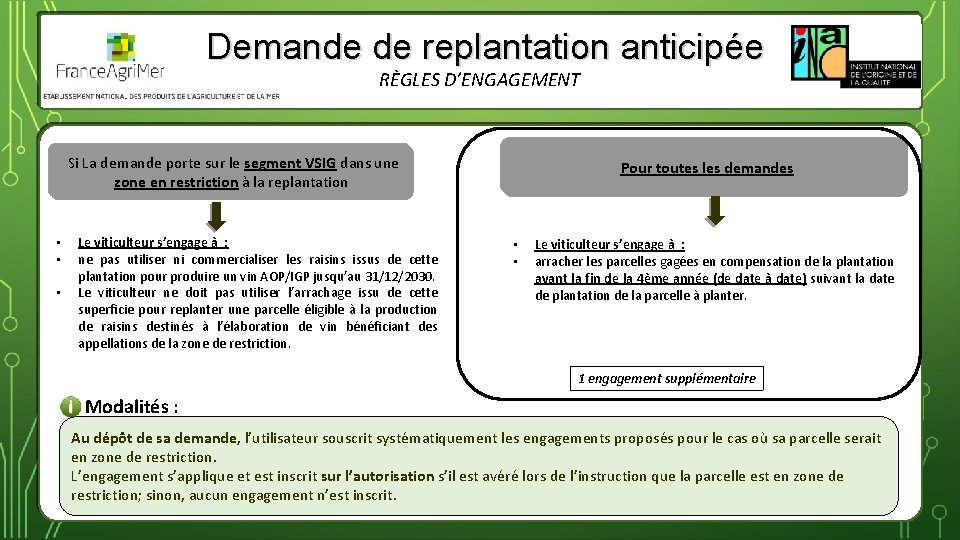 Demande de replantation anticipée RÈGLES D’ENGAGEMENT Si La demande porte sur le segment VSIG