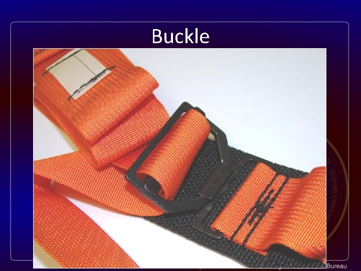 Buckle 