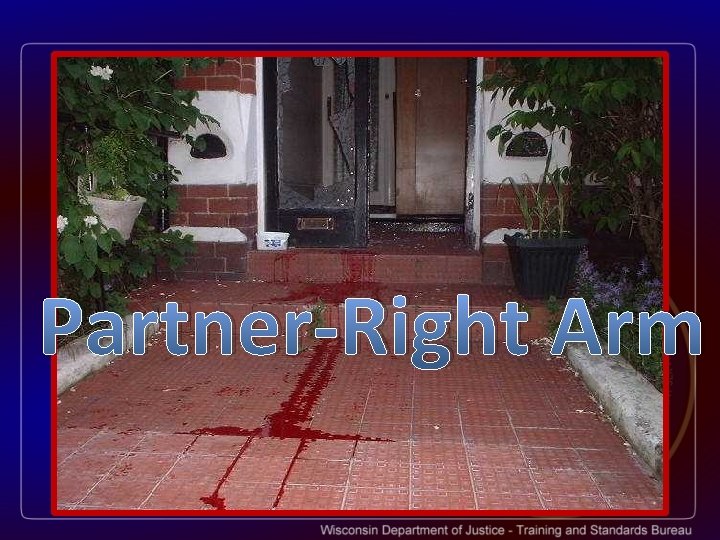 Partner-Right Arm 