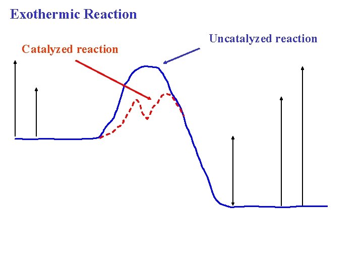 Exothermic Reaction Catalyzed reaction Uncatalyzed reaction 