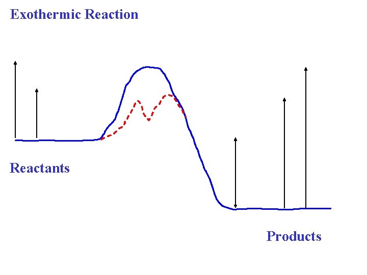 Exothermic Reaction Reactants Products 