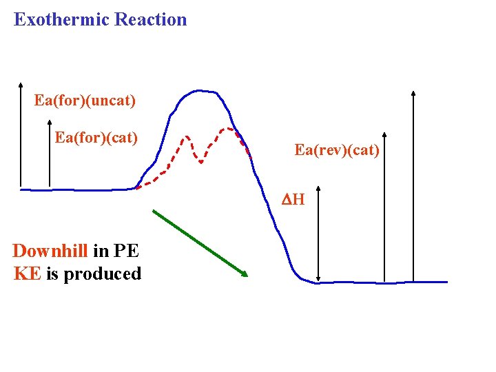 Exothermic Reaction Ea(for)(uncat) Ea(for)(cat) Ea(rev)(cat) H Downhill in PE KE is produced 