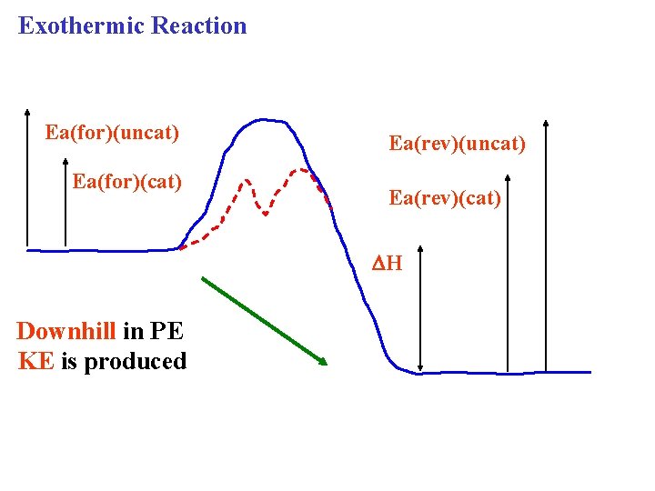 Exothermic Reaction Ea(for)(uncat) Ea(for)(cat) Ea(rev)(uncat) Ea(rev)(cat) H Downhill in PE KE is produced 