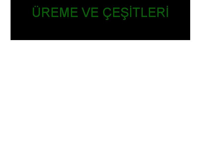 ÜREME VE ÇEŞİTLERİ 