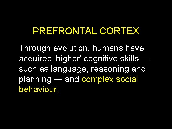 PREFRONTAL CORTEX Through evolution, humans have acquired 'higher' cognitive skills — such as language,