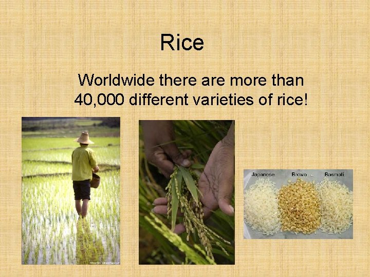Rice Worldwide there are more than 40, 000 different varieties of rice! 