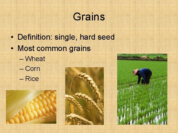 Grains • Definition: single, hard seed • Most common grains – Wheat – Corn