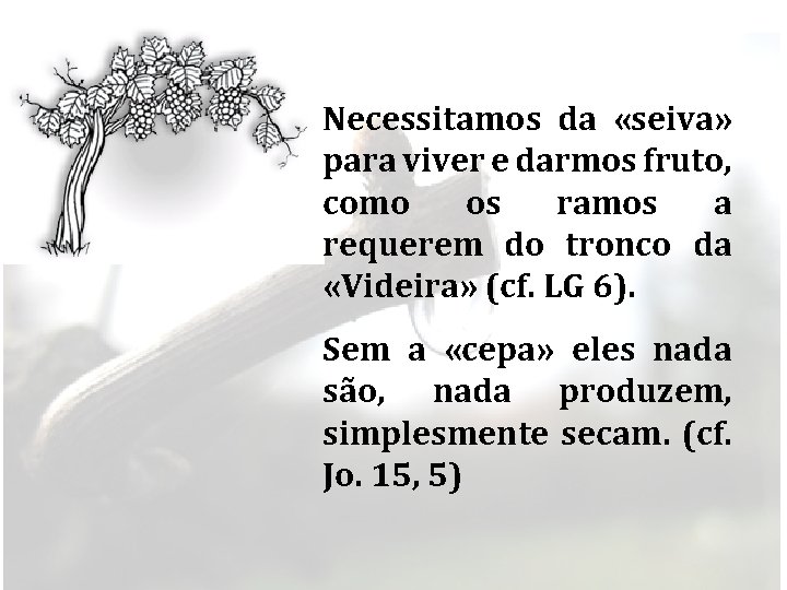 Necessitamos da «seiva» para viver e darmos fruto, como os ramos a requerem do