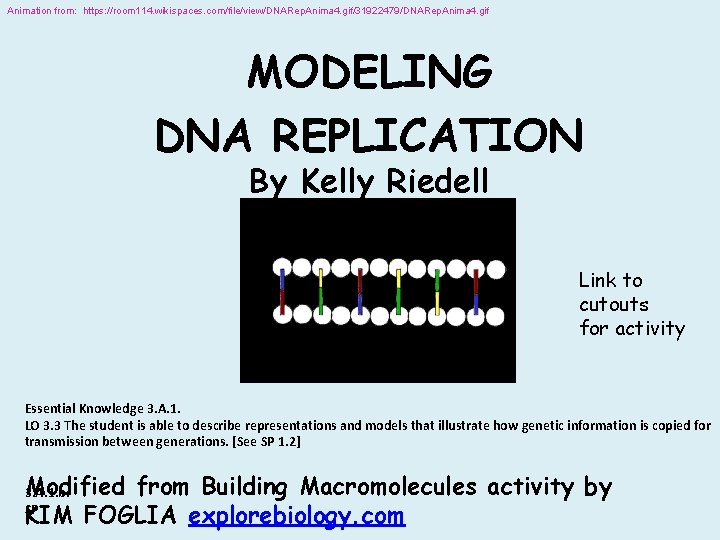 Animation from: https: //room 114. wikispaces. com/file/view/DNARep. Anima 4. gif/31922479/DNARep. Anima 4. gif MODELING Animation from: https: //room 114. wikispaces. com/file/view/DNARep. Anima 4. gif/31922479/DNARep. Anima 4. gif MODELING