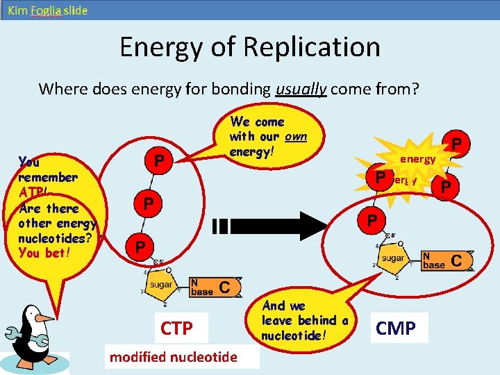 Energy of Replication Where does energy for bonding usually come from? We come with Energy of Replication Where does energy for bonding usually come from? We come with
