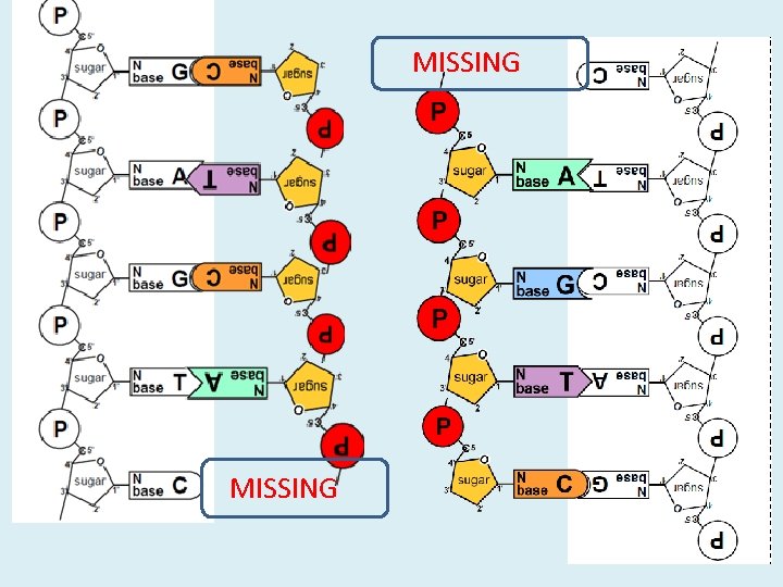 MISSING MISSING