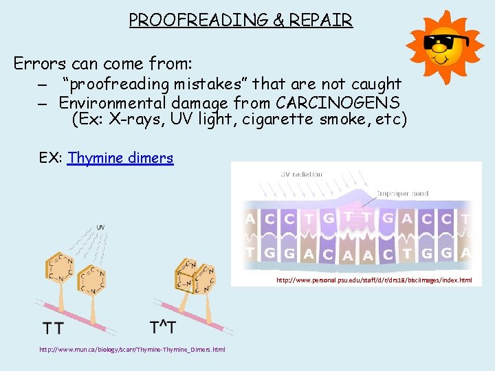 PROOFREADING & REPAIR Errors can come from: – “proofreading mistakes” that are not caught PROOFREADING & REPAIR Errors can come from: – “proofreading mistakes” that are not caught