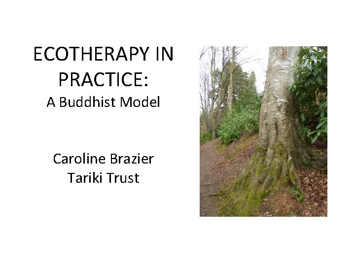 ECOTHERAPY IN PRACTICE: A Buddhist Model Caroline Brazier Tariki Trust 