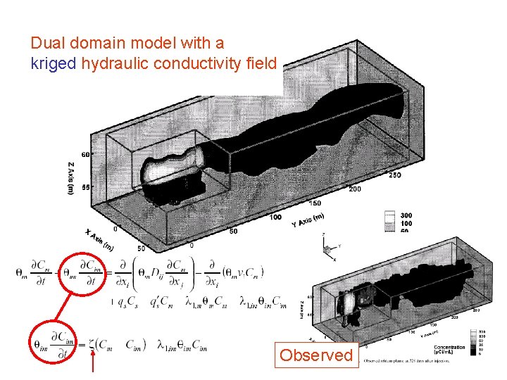 Dual domain model with a kriged hydraulic conductivity field Observed 