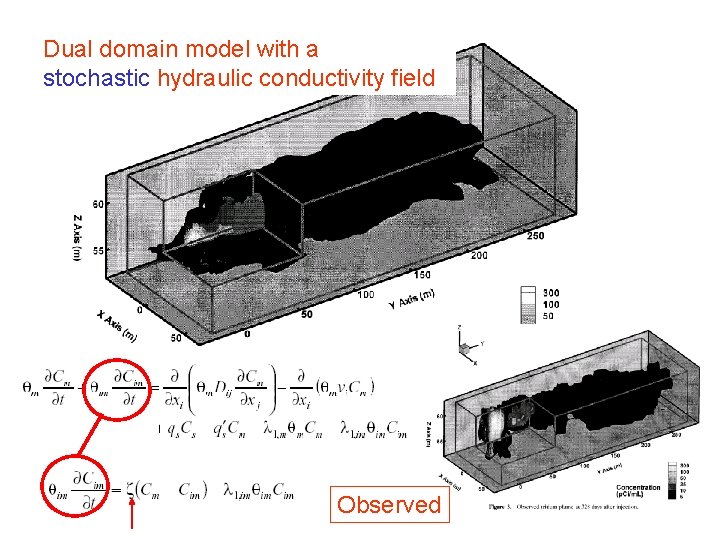 Dual domain model with a stochastic hydraulic conductivity field Observed 