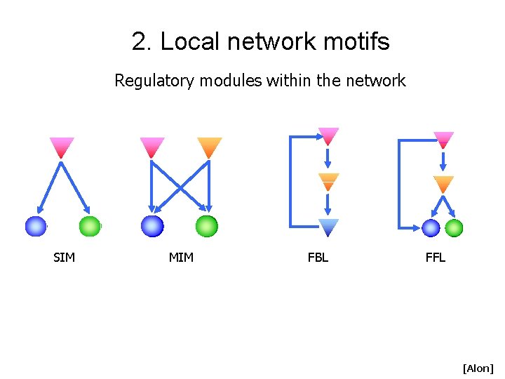 2. Local network motifs Regulatory modules within the network SIM MIM FBL FFL [Alon]