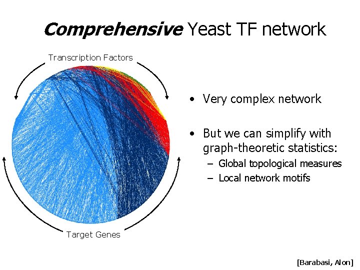 Comprehensive Yeast TF network Transcription Factors • Very complex network • But we can Comprehensive Yeast TF network Transcription Factors • Very complex network • But we can