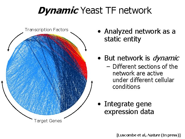 Dynamic Yeast TF network Transcription Factors • Analyzed network as a static entity • Dynamic Yeast TF network Transcription Factors • Analyzed network as a static entity •