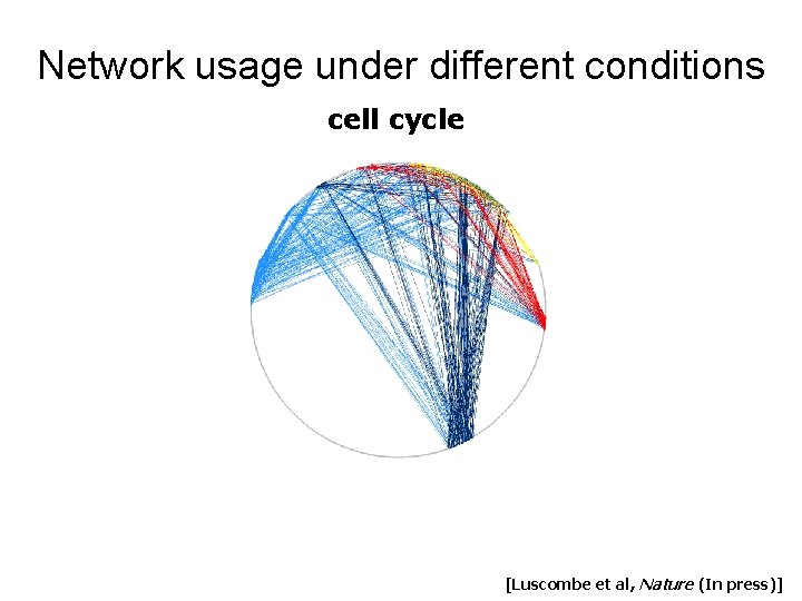Network usage under different conditions cell cycle [Luscombe et al, Nature (In press)] 