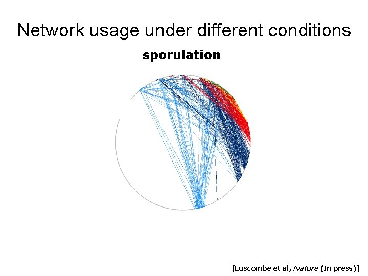 Network usage under different conditions sporulation [Luscombe et al, Nature (In press)] 