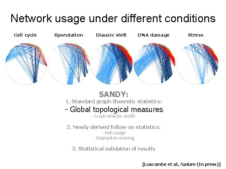 Network usage under different conditions Cell cycle Sporulation Diauxic shift DNA damage Stress SANDY: Network usage under different conditions Cell cycle Sporulation Diauxic shift DNA damage Stress SANDY: