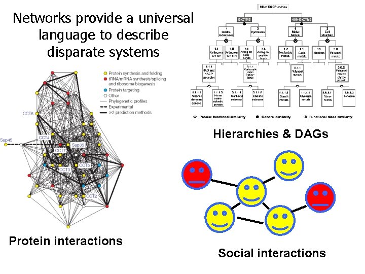 Networks provide a universal language to describe disparate systems Hierarchies & DAGs Protein interactions Networks provide a universal language to describe disparate systems Hierarchies & DAGs Protein interactions
