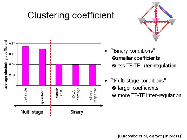 Clustering coefficient • “Binary conditions” smaller coefficients less TF-TF inter-regulation • “Multi-stage conditions” larger Clustering coefficient • “Binary conditions” smaller coefficients less TF-TF inter-regulation • “Multi-stage conditions” larger