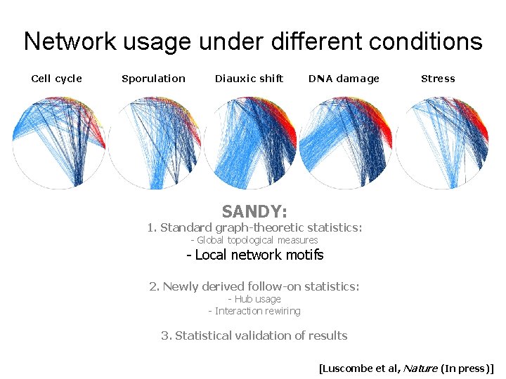 Network usage under different conditions Cell cycle Sporulation Diauxic shift DNA damage Stress SANDY: Network usage under different conditions Cell cycle Sporulation Diauxic shift DNA damage Stress SANDY: