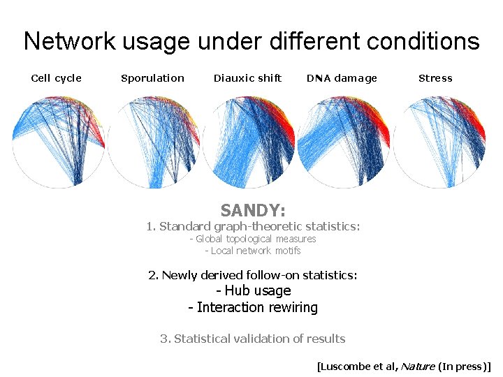 Network usage under different conditions Cell cycle Sporulation Diauxic shift DNA damage Stress SANDY: Network usage under different conditions Cell cycle Sporulation Diauxic shift DNA damage Stress SANDY: