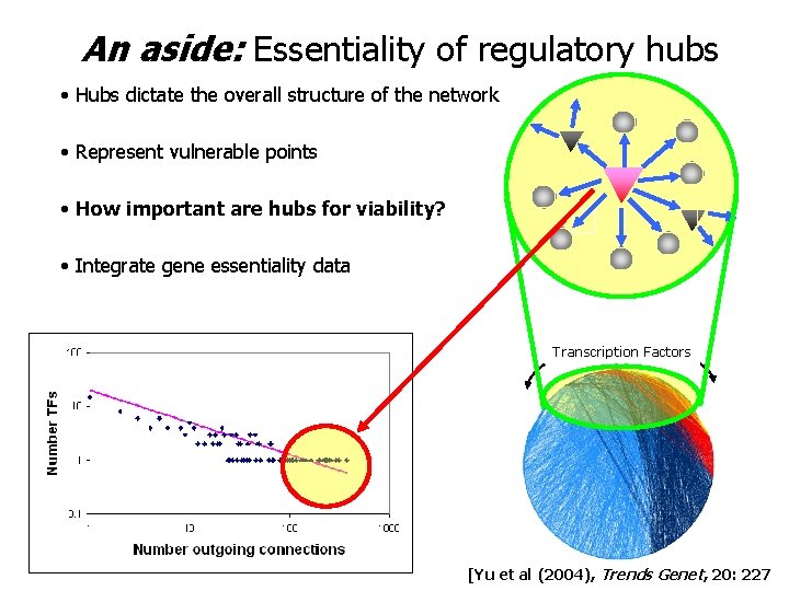 An aside: Essentiality of regulatory hubs • Hubs dictate the overall structure of the An aside: Essentiality of regulatory hubs • Hubs dictate the overall structure of the