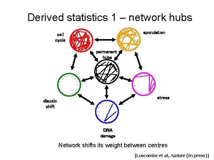 Derived statistics 1 – network hubs sporulation cell cycle permanent hubs stress diauxic shift Derived statistics 1 – network hubs sporulation cell cycle permanent hubs stress diauxic shift