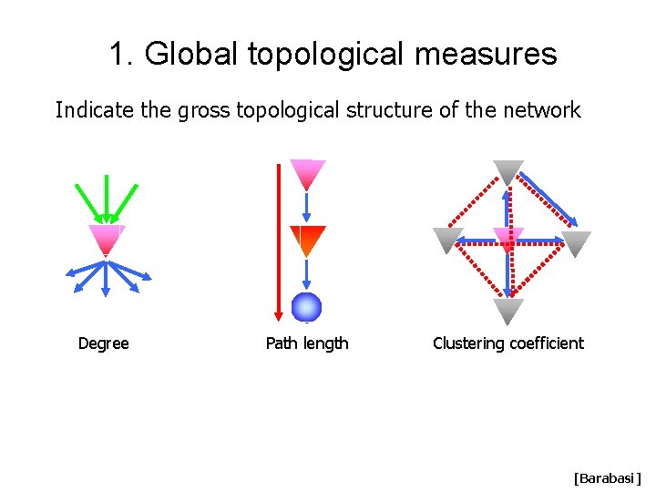 1. Global topological measures Indicate the gross topological structure of the network Degree Path 1. Global topological measures Indicate the gross topological structure of the network Degree Path
