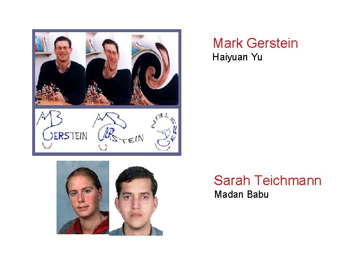 Mark Gerstein Haiyuan Yu Sarah Teichmann Madan Babu Mark Gerstein Haiyuan Yu Sarah Teichmann Madan Babu