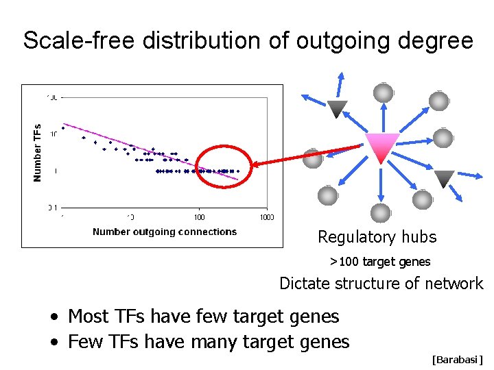 Scale-free distribution of outgoing degree Regulatory hubs >100 target genes Dictate structure of network Scale-free distribution of outgoing degree Regulatory hubs >100 target genes Dictate structure of network