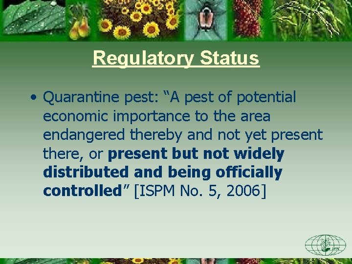 Regulatory Status • Quarantine pest: “A pest of potential economic importance to the area