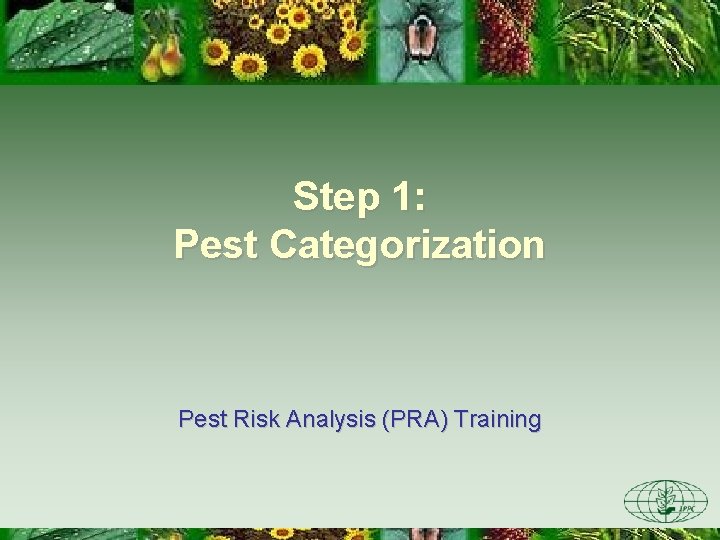 Step 1: Pest Categorization Pest Risk Analysis (PRA) Training Step 1: Pest Categorization Pest Risk Analysis (PRA) Training