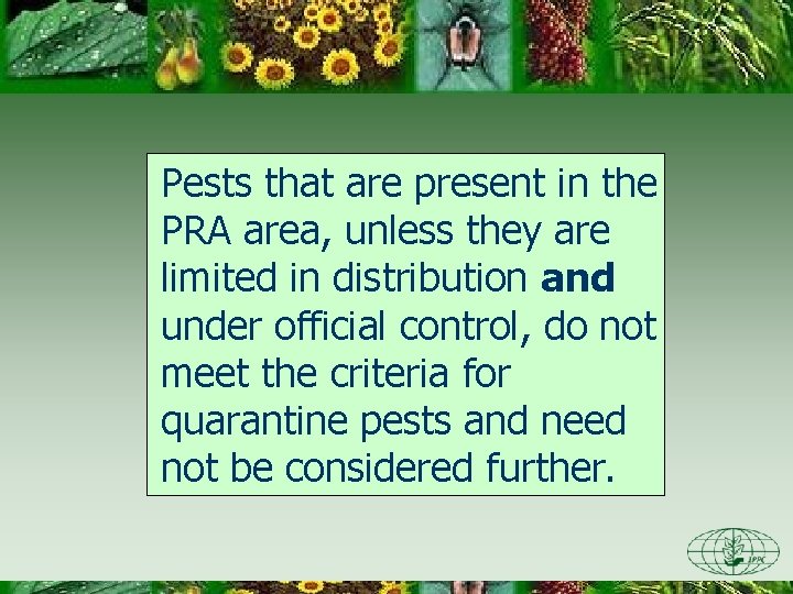 Pests that are present in the PRA area, unless they are limited in distribution