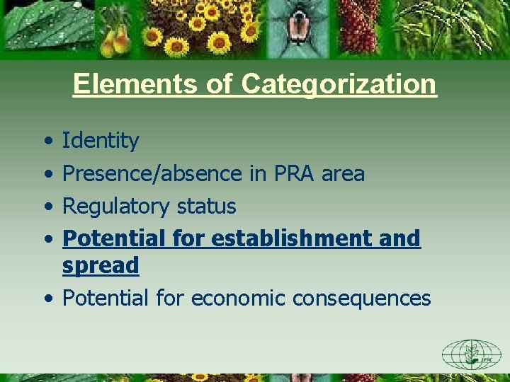 Elements of Categorization • • Identity Presence/absence in PRA area Regulatory status Potential for
