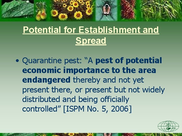 Potential for Establishment and Spread • Quarantine pest: “A pest of potential economic importance