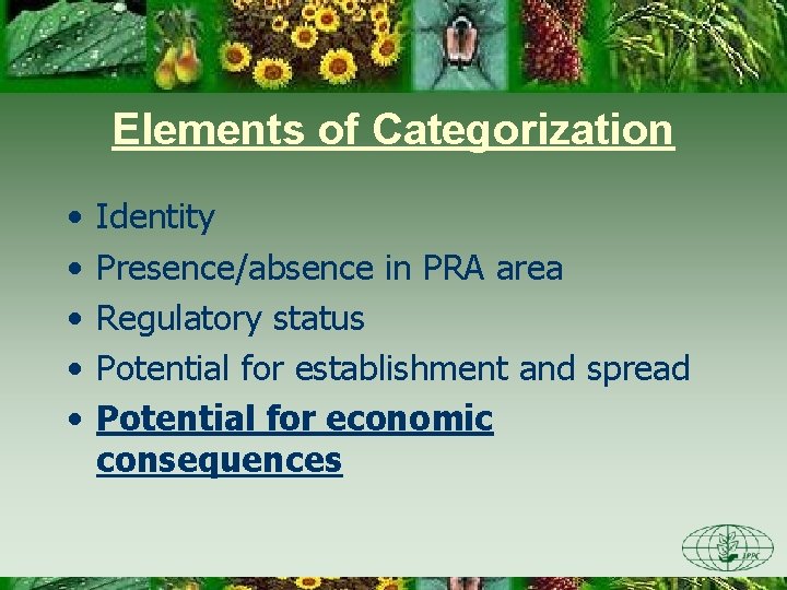 Elements of Categorization • • • Identity Presence/absence in PRA area Regulatory status Potential