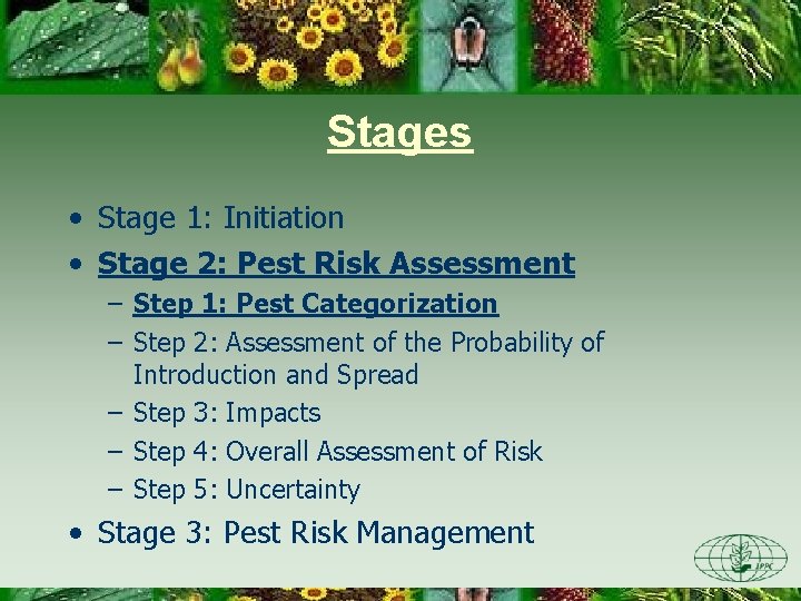 Stages • Stage 1: Initiation • Stage 2: Pest Risk Assessment – Step 1: