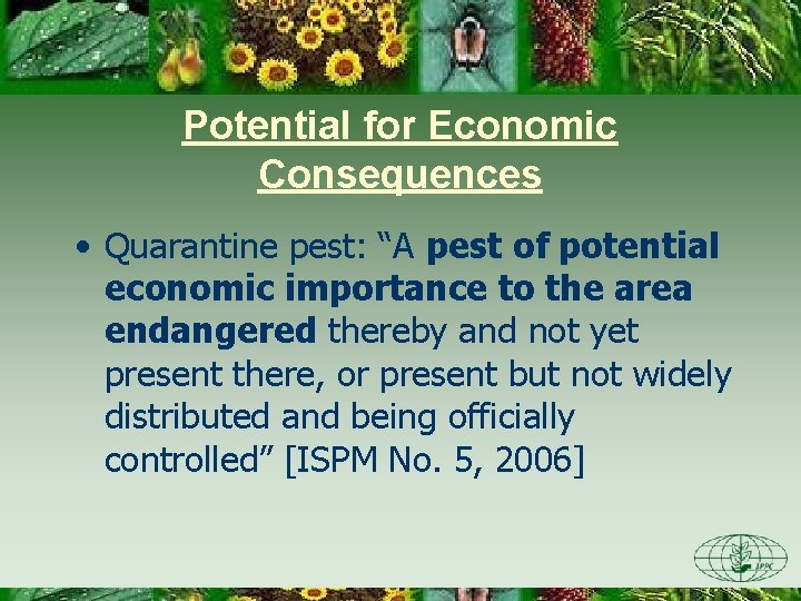 Potential for Economic Consequences • Quarantine pest: “A pest of potential economic importance to Potential for Economic Consequences • Quarantine pest: “A pest of potential economic importance to