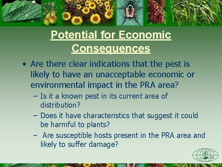 Potential for Economic Consequences • Are there clear indications that the pest is likely Potential for Economic Consequences • Are there clear indications that the pest is likely