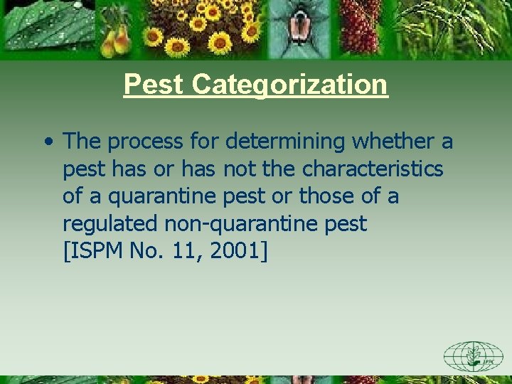 Pest Categorization • The process for determining whether a pest has or has not