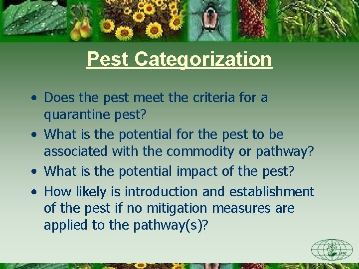 Pest Categorization • Does the pest meet the criteria for a quarantine pest? •